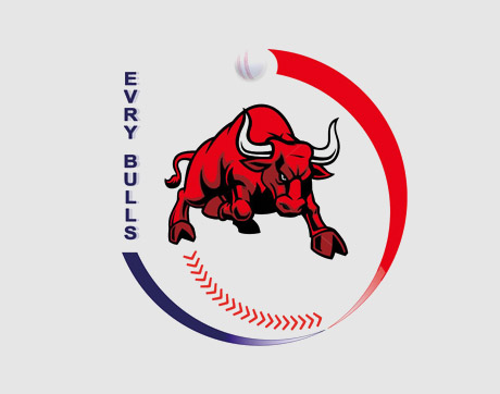 Logo Evry Bulls - Cricket